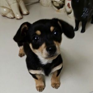 Meet your Posher, Kristie